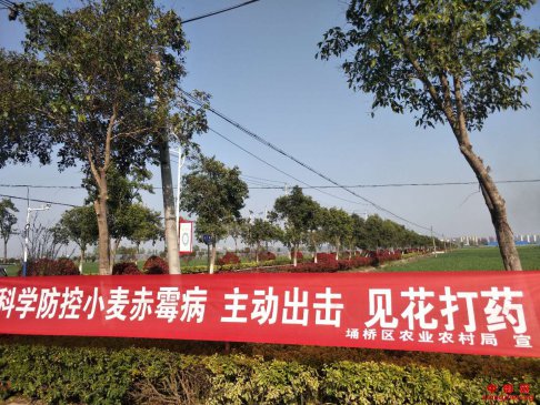 <b>安徽省西二铺乡多项举措开展小麦赤霉病防治工作</b>