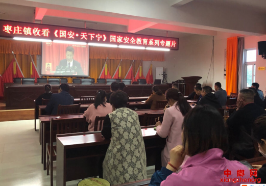安徽阜阳颍东区枣庄镇组织党政干部集中收看专题片《国安•天下宁》