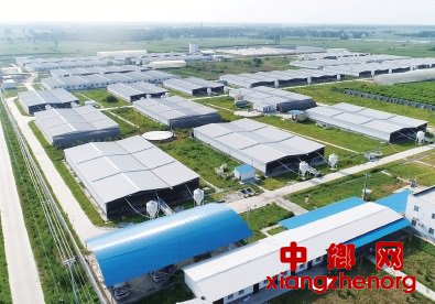 粪污综合利用迈上新台阶