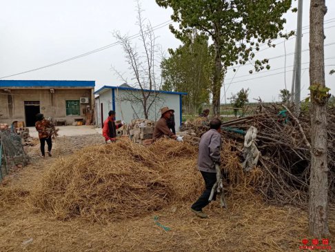 <b>安徽定远：桑涧镇持续开展农村人居环境整治</b>