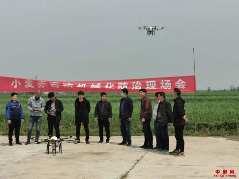 <b>安徽凤阳县大庙镇召开小麦赤霉病防治现场会</b>