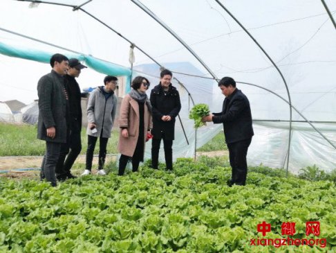 <b>安徽蒙城：“家庭农场”带领贫困户土里“刨金”</b>