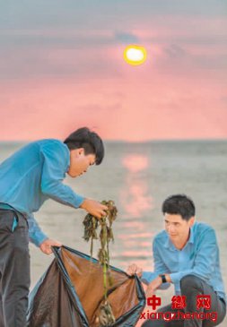 还大海一片蔚蓝