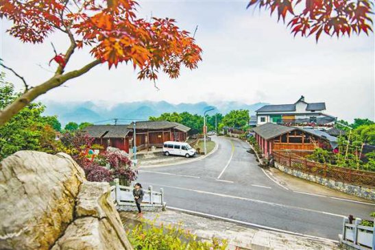 破旧民房变身美丽庭院