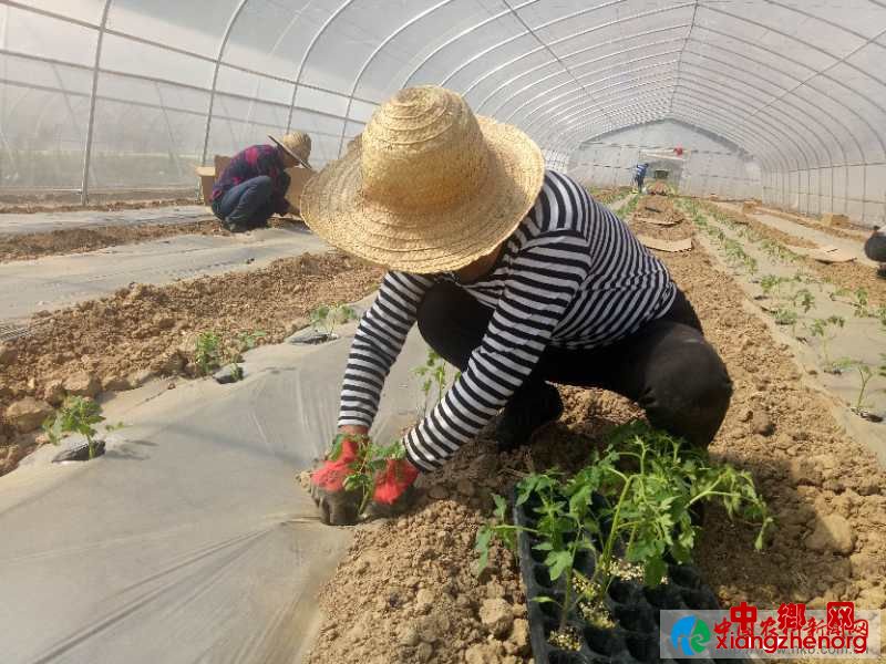 微信图片_20200519092256