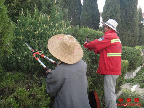 修剪花木  美化环境