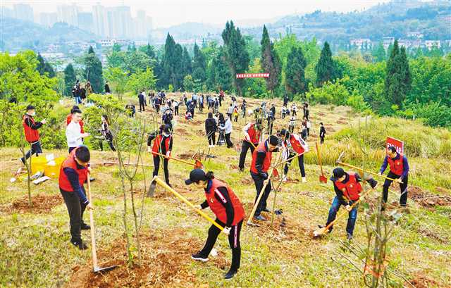 <b>今年渝已完成营造林332万亩 占年度计划的52%</b>