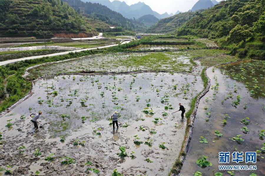 #（新华视界）（3）小满农事忙