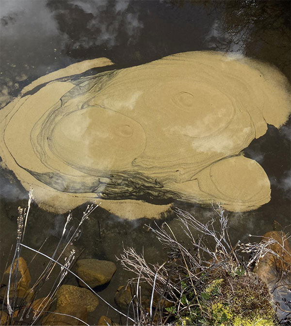 <b>甘孜州新龙县发现“声控沙沸”景观</b>