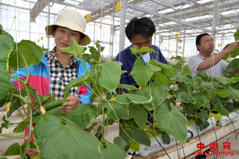 靖边东坑农业科技馆工作人员正在展介绍智慧农业的优势 靖边东坑农业科技馆工作人员正在展介绍智慧农业的优势