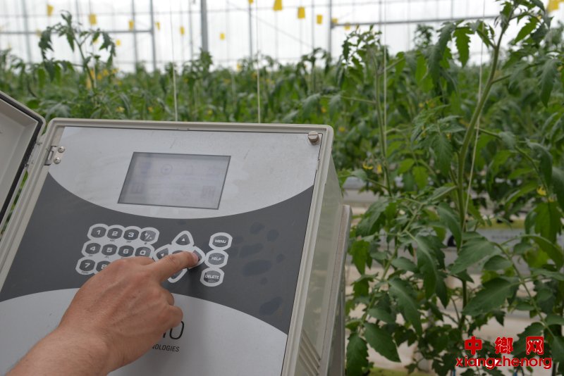 靖边东坑农业科技馆智慧农业 靖边东坑农业科技馆智慧农业
