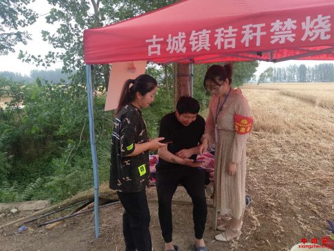 <b>安徽省谯城区古城镇：志愿宣传“码”上行 出行之路更畅通</b>