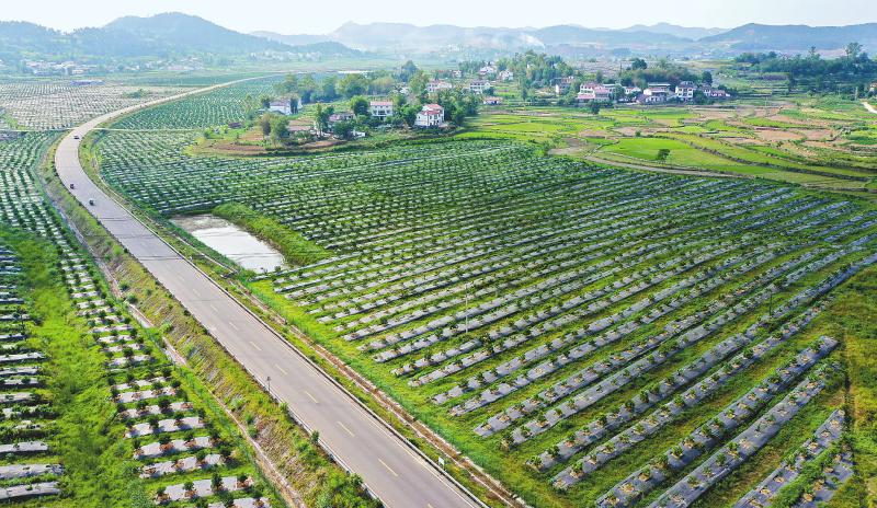 <b>在绿水青山中增收致富</b>