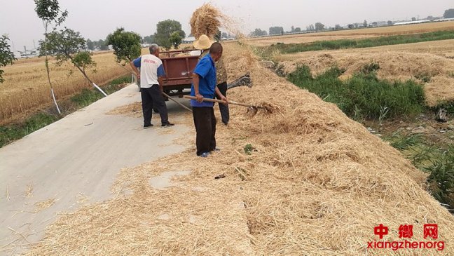 安徽西二铺乡：夏收时“洁” “净”待文明花开