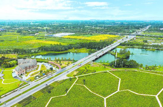 <b>成都新津宝墩镇获评2020年国家级农业产业强镇</b>