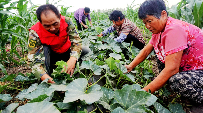 <b>调结构 助增收</b>