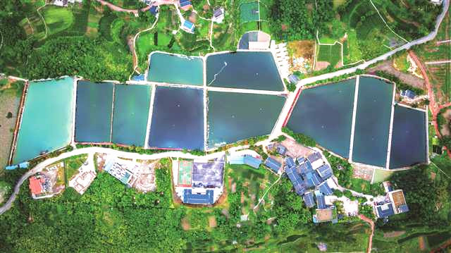 <b>水作琉璃碧</b>