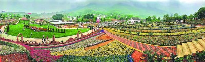 产业兴旺同步推进“脱贫、富民、振兴”