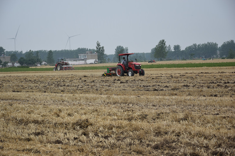 <b>抢墒播种夏种忙</b>