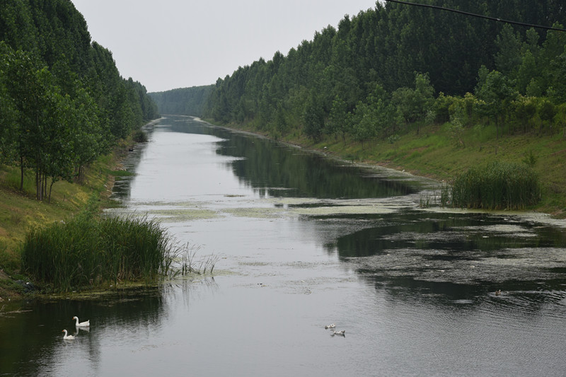<b>一河碧水两岸绿</b>