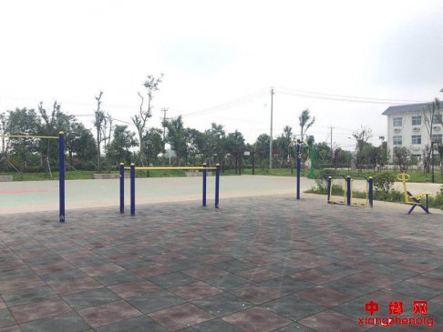 群众干部齐心干人居环境大提升