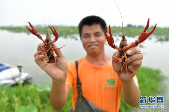 （经济）（3）江西南昌：观荷捕虾富农家