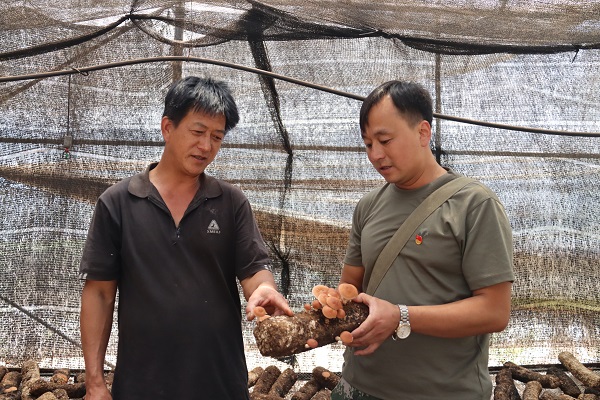 <b>“点子书记”杨兵：一心只为田坝这个家</b>