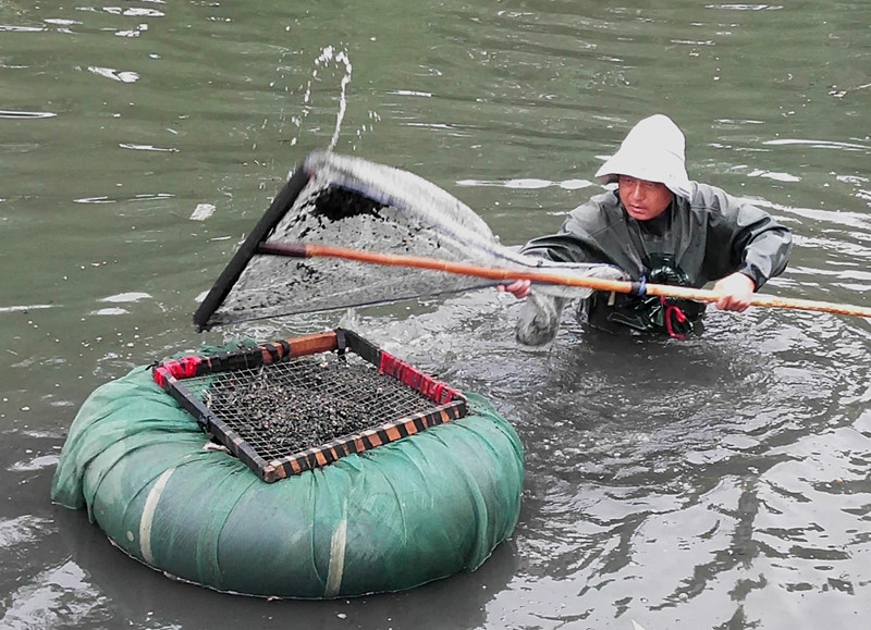 山东郯城：“活饲料”让农民生出“金”