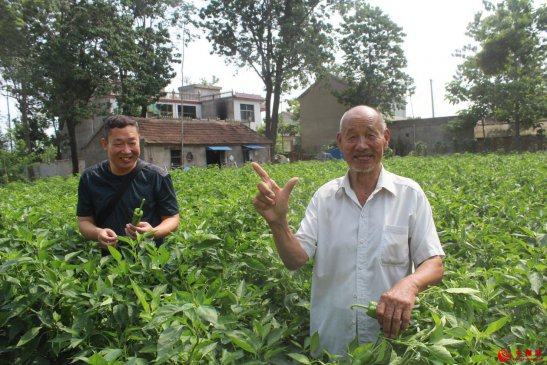 <b>安徽省魏岗镇：小庭院里的大文章</b>