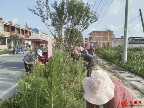 <b>安徽阜阳颍东区枣庄镇人居环境整治推进乡风文明</b>
