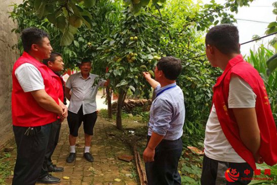 <b>安徽省牛集镇宋庄村：志愿者科技兴农送上门</b>