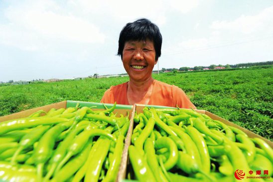 特色种植助农增收