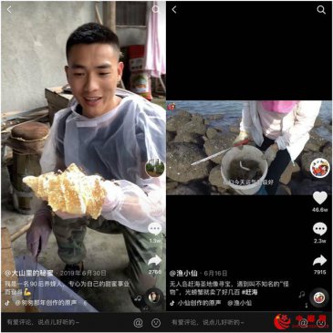 抖音推出“新农人计划”，12亿流量补贴三农创作