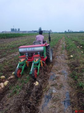 安徽阜阳颍东区枣庄镇留守妇女灾后忙田管