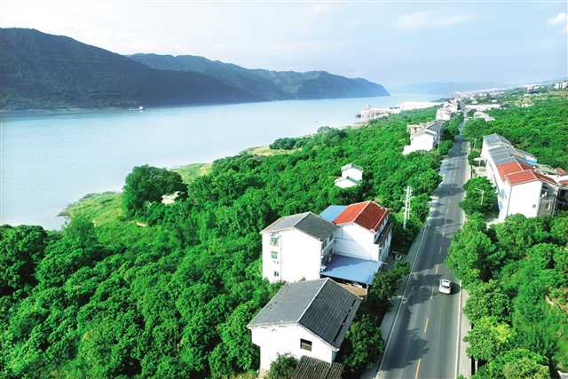 <b>退耕还林让巴渝大地尽展绿色华章</b>