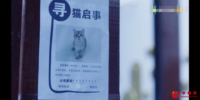  电视剧《三十而已》中的寻猫启事  截图