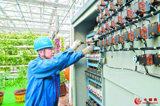 银线飞架小康路 乡村振兴动力足