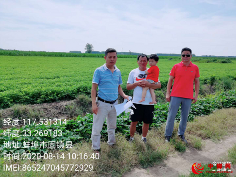 <b>安徽省刘集镇开展花生绿色高质高效创建项目初验</b>