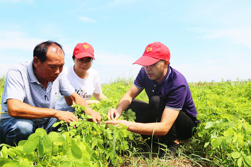 <b>安徽颍东：田间地头解难题</b>