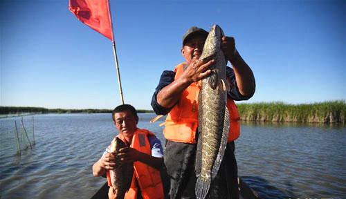 <b>鱼肥蟹美丰收时</b>