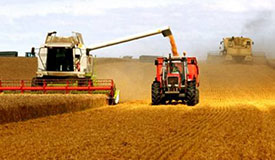 <b>我国将迎来第三个中国农民丰收节</b>