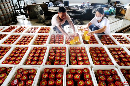 <b>安徽阜阳市颍东区：特色产业助增收</b>