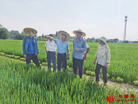 “三合一”模式培育家庭农场转型“主力军”