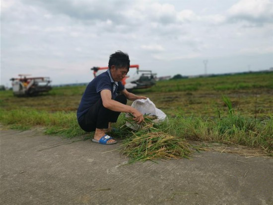 <b>颗粒归仓为何难实现？</b>