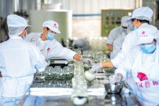 <b>四川达州：醪糟生产车间内的有序作业</b>