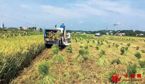 农机奖补层层加　农户购机实惠多
