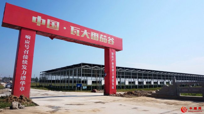 <b>安徽颍东：重点项目 加快建设</b>