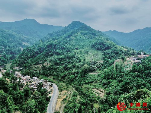 打通上行路　种出丰收果