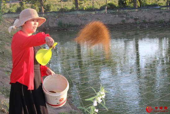 <b>水产养殖促增收</b>