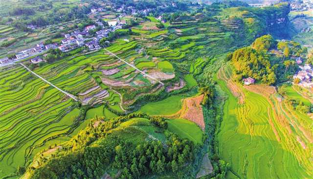 <b>重庆南川：乡村颜值美如画 乡风文明节节高</b>